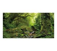 AWERT 48x24 inches Tropical Forest Terrarium Background Stream Green Huge Tree Reptile Habitat Background Foggy Rainforest Aquarium Background Durable Polyester Background