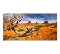 AWERT 72x24 inches Reptile Habitat Background Orange Desert Terrarium Background Durable Polyester Background