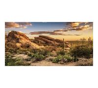 AWERT Reptile Habitat Background Blue Sky Oasis Cactus Sun and Desert Terrarium Background 48x24 inches Durable Polyester Background