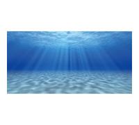 AWERT Undersea Theme Aquarium Background Sticker Sunshine Underwater World Fish Tank Background 72x24 inches Durable Polyester Background