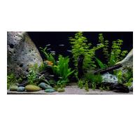AWERT Vinyl Underwater Aquatic Plant Fish Tank Background Stone River Bed & Lake Aquarium Background 48x18 inches