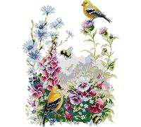 Awesocrafts Cross Stitch Stamped Kits Bird and Flowers Easy Patterns Cross Stitching Embroidery Needlework Kit Supplies 14CT 2 Strands (Bird 1)