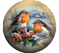 Awesocrafts Cross Stitch Stamped Kits Birds Snow Scene Easy Patterns Cross Stitching Embroidery Needlework Kit Supplies (Snow)