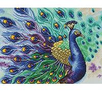 Awesocrafts Cross Stitch Stamped Kits Blue Peacock Easy Patterns Cross Stitching Embroidery Needlework Kit Supplies (Peacock)