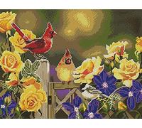 Awesocrafts Cross Stitch Stamped Kits Cardinal Birds and Flowers Easy Patterns Cross Stitching Embroidery Needlework Kit Supplies (Cardinal)