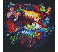 Awesocrafts Cross Stitch Stamped Kits Eye and Butterfly Colourful Butterflies Easy Patterns Cross Stitching Embroidery Needlework Kit Supplies (Eye)