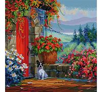Awesocrafts Cross Stitch Stamped Kits Flowery Courtyard Easy Patterns Cross Stitching Embroidery Needlework Kit Supplies 14CT 2 Strands