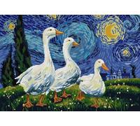 Awesocrafts Cross Stitch Stamped Kits Look at The Stars Easy Patterns Cross Stitching Embroidery Needlework Kit Supplies 14CT 2 Strands