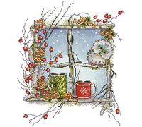 Awesocrafts Cross Stitch Stamped Kits The Owl on The Window Easy Patterns Cross Stitching Embroidery Needlework Kit Supplies