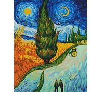 Awesocrafts Cross Stitch Stamped Kits Vincent Van Gogh's Path of Cypresses Easy Patterns Cross Stitching Embroidery Needlework Kit Supplies