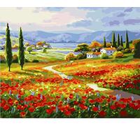 Awesocrafts Paint by Numbers Kits, Red Flower Field Village Country Theme Vase Number Painting for Adults 16x20 inch Framed (Flower Field, Framed)
