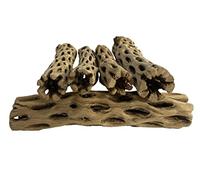 Awesome Aquatic Natural Cholla Choya Wood 5 Pieces 6” for Shrimp Habitat and Food Treat Hermit Crabs Plecos Aquarium Decoration Lowers pH Hideouts and Chew Toys Reptiles Thorn Free Dried Organic