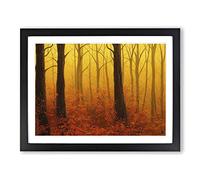 Awesome Autumn Forest Framed Print | A2 Black Framed Wall Art | Ready to Hang | Modern Landscape Picture | Living Room Bedroom Lounge Office