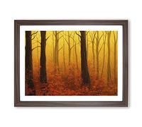 Awesome Autumn Forest H1022 Framed Print for Living Room Bedroom Home Office Décor, Wall Art Picture Ready to Hang, Walnut A4 Frame (34 x 25 cm)