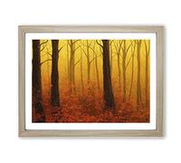 Awesome Autumn Forest H1022 Framed Print for Living Room Bedroom Home Office Décor, Wall Art Picture Ready to Hang, Oak A3 Frame (46 x 34 cm)