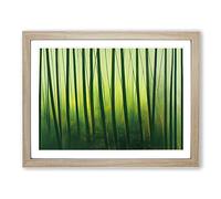 Awesome Bamboo Forest Framed Print | A3 Oak Framed Wall Art | Ready to Hang | Modern Landscape Picture | Living Room Bedroom Lounge Office