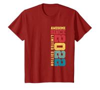 Awesome Since 2022 - 3 Year Old Gifts Vintage 3rd Birthday T-Shirt