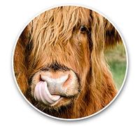 Awesome Vinyl Stickers (Set of 2) 15cm - Highland Cow Scotland Cattle Fun Decals for Laptops,Tablets,Luggage,Scrap Booking,Fridges #45332