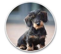 Awesome Vinyl Stickers (Set of 2) 15cm - Wire Haired Dachshund Puppy Fun Decals for Laptops,Tablets,Luggage,Scrap Booking,Fridges #2730
