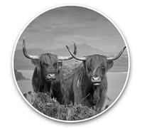 Awesome Vinyl Stickers (Set of 2) 20cm (bw) - Brown Highland Cows Scotland Fun Decals for Laptops,Tablets,Luggage,Scrap Booking,Fridges #37230