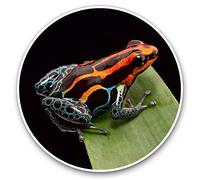 Awesome Vinyl Stickers (Set of 2) 7.5cm - Red Striped Poison Dart Frog Fun Decals for Laptops,Tablets,Luggage,Scrap Booking,Fridges #16203