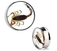 Awinrel Ear Gauges Plugs Genuine Scorpion Inlay Stainless Steel Double Flare Tunnels Stretching Expander Body Piercing Jewelry 2 Pieces, Metal Resin, no gemstone