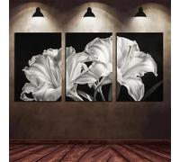 awitufhgp 3pc Home Decor Black And White Blooming Lily, Modern Luxury Abstract Wall Art, for Living Room, Bedroom, Office(50x70cmx3/No frame)
