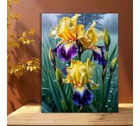 awitufhgp Iris Blooming in The Mist, for Bedroom, Living Room, Room Farm, Hotel, Cafe, Study Canvas Wall Art, Enhancing Space Style(50x60cm/No frame)