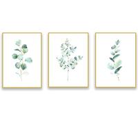 AWKFHF Eucalyptus Watercolour Pictures, Botanical Green Leaves Canvas Picture Poster Art Print Living Room Decoration Bedroom Pictures Wall Decoration (3 x 40 x 60 cm, without Frame)