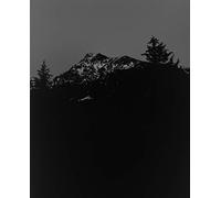 Awoiska Van Der Molen - The Living Mountain: Photographs by Awoiska van der Molen