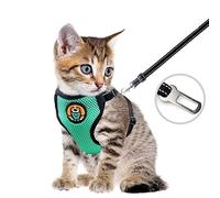 AWOOF Reflective Kitten Harness and Leash Escape Proof with Car Seat Belt, Adjustable Cat Puppy Walking Jacket with Metal Leash Ring, Soft Breathable Small Pet Vest (S)
