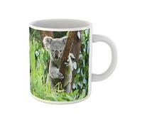 Awowee Coffee Mug Gray Animal Koala Bear in the Zoo Cute Australia 11 Oz Ceramic Tea Cup Mugs Best Gift Or Souvenir For Family Friends Coworkers