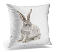 Awowee Cushion Cover 45x45cm/18x18inches Gray Animal Grey Rabbit on Easter Farm House Wild Home Decor Throw Pillow Cover Square Pillowcase for Bed Sofa