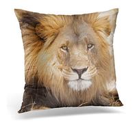 Awowee Cushion Cover 50x50cm/20x20inches African Lion Portrait Animals Safari Africa Beautiful Big Black Home Decor Throw Pillow Cover Square Pillowcase for Bed Sofa