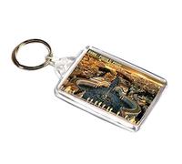 AWS Key Ring Rome Square St Peter's Souvenir City of the Vatican Italy Key Ring in PVC