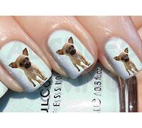 AWS set Water decals dog Chiwawa nail art stickers transfer (40)