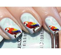 AWS Set Water Decals Parrot Macaw Colorful Parrot Parrot Stickers Nail Art Transfer Decoration Bird Parrot Coloured Reconstruction Nail Art Decorations Bird (100)