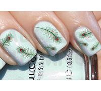AWS set Water decals Peacock Feather colored stickers nail art stickers transfer decoration reconstruction Peacock Feather nail art decorations feathers (60)