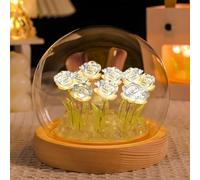 AWSOLAR Blue Rose Night Light, 10 LED Forever Roses in Glass Dome, Beautiful Flower Gift for Women Wife Girlfriend Mother