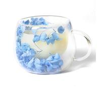 AWSOLAR Dried Flower Double Wall Glass Mugs 300ml, Double Insulated Coffee Mug with Flower Mug Gift for Women Mother Wife Teacher Friend