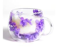 AWSOLAR Dried Flower Double Wall Glass Mugs 300ml, Double Insulated Coffee Mug with Flower Mug Gift for Women Mother Wife Teacher Friend