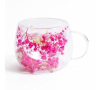 AWSOLAR Dried Flower Double Wall Glass Mugs 300ml, Double Insulated Coffee Mug with Flower Mug Gift for Women Mother Wife Teacher Friend