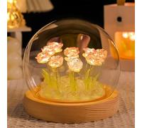 AWSOLAR Pink Rose Night Light, 10 LED Forever Roses in Glass Dome, Beautiful Flower Gift for Women Wife Girlfriend Mother