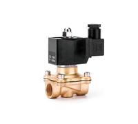 AWWVRLMM 1/2" 1" 2" Inch 2 Way IP65 Waterproof Solenoid Valve water 220V 12V 24V 110V Brass Normally Closed(12VDC-NC,1 Inch)