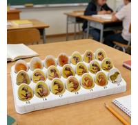 Axazcs Chick Life Cycle Exploration Set, Chick Embryo Growth Model with 21 Plastic Eggs, Egg Hatching Development Process Model, for Biology Teaching