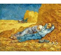 AXBUOEFS Paint by Numbers Kit for Adults Van Gogh Takes a Nap DIY Complete Painting,Painting with Numbers with Brushes and Acrylic Paint, Home Office Decoration,Creative Gift - 16"x20" (with Frame)
