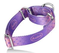 Axdvk Martingale Collar for Dogs - Colourful Gradient Design & Escape Proof - Soft & Durable - For Walks, Training, Outdoor and Daily Life, S, Purple Pattern