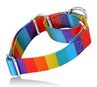 Axdvk Martingale Dog Collar Colorful Gradient Fashionable - Anti-Escape Soft Durable Pets Collar for Walking Training Outdoor Daily Use -Small, Sunny Rainbow