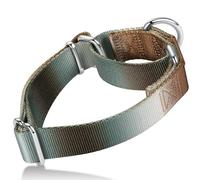 Axdvk Martingale Dog Collar Colorful Gradient Fashionable - Anti-Escape Soft Durable Pets Collar for Walking Training Outdoor Daily Use -Medium, Silver Brown
