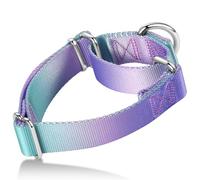 Axdvk Martingale Dog Collar Colorful Gradient Fashionable - Anti-Escape Soft Durable Pets Collar for Walking Training Outdoor Daily Use -Medium, Purple Green